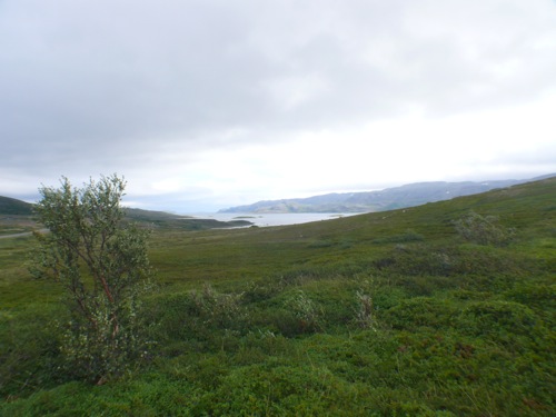 entre Lebesby et Kongsfjord - 2