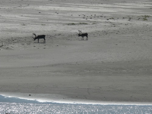 Retour par la route de l'arctique - 4