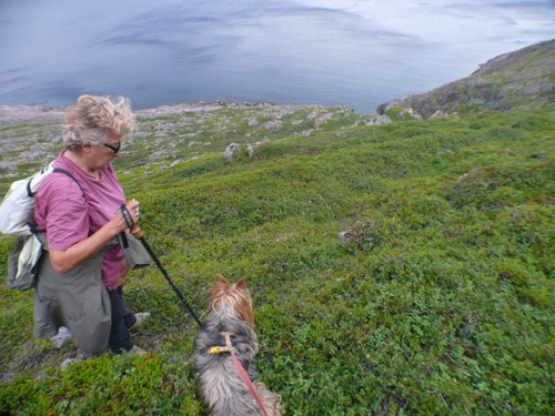 Hameau de Hamn-Syltefjord - Balade et bivouac - 07