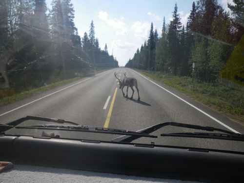 Retour sur la Finlande - 3