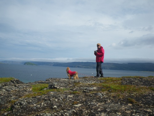 Kongsfjord - Balades, pêche, bivouac et soleil de minuit - 31