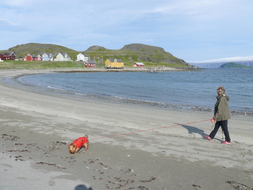 Kongsfjord - Balades, pêche, bivouac et soleil de minuit - 46