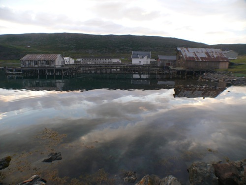 Kongsfjord - Balades, pêche, bivouac et soleil de minuit - 88